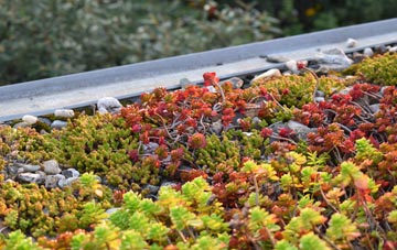 the cost of Star green roof installation