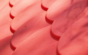 Star plastic roof costs