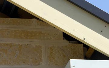 soffit repair Star