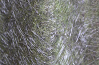 Star fibreglass roof work